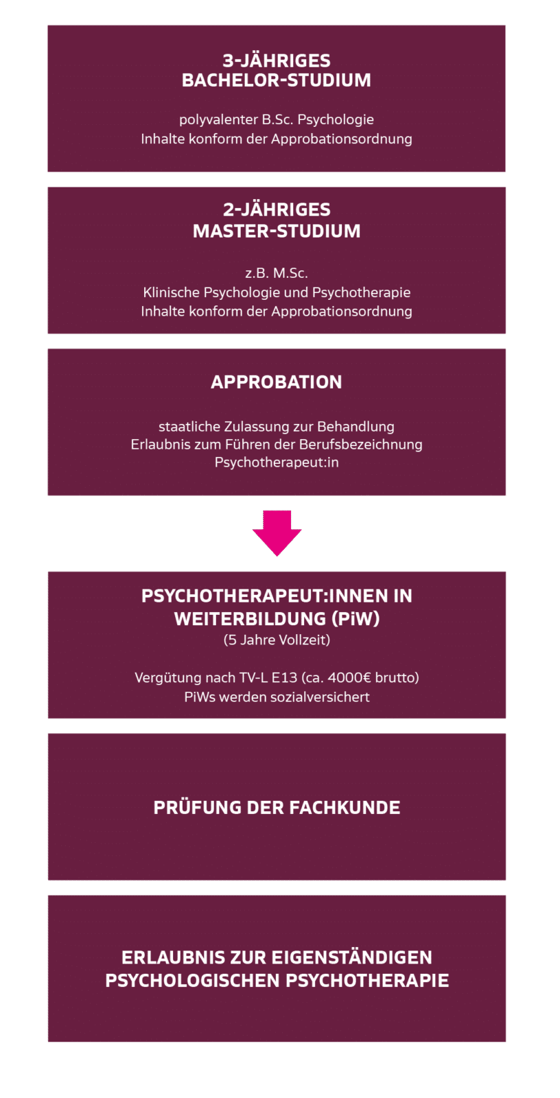 Grafik, die zeigt, wie man Psychotherpeut:in wird